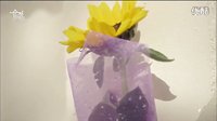 陷入纯情E14 向日葵的爱 CUT