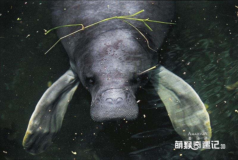 http://www.mshishang.net/pics/default/download/b23d26b8dd1a29a0590930485e6e8738.jpg