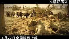 预告片1