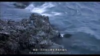 中国首部鸟类电影《天赐》预告片