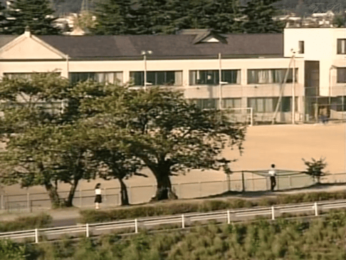 http://www.mshishang.net/pics/default/download/b68b93e34109203e6c2464333ff756d4.jpg