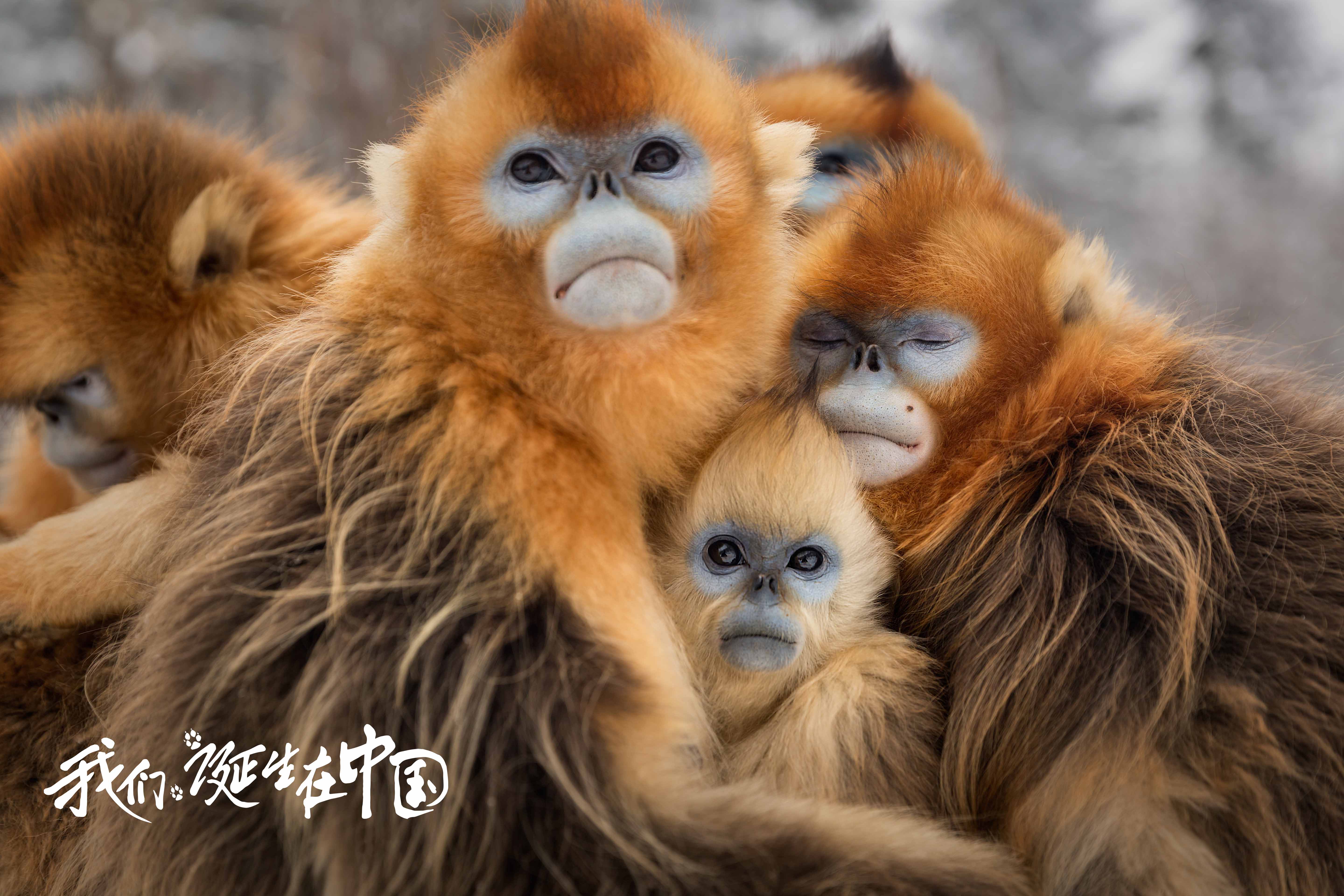 http://www.mshishang.net/pics/default/download/b84746a2c10cf61aad5afccaa907ae12.jpg