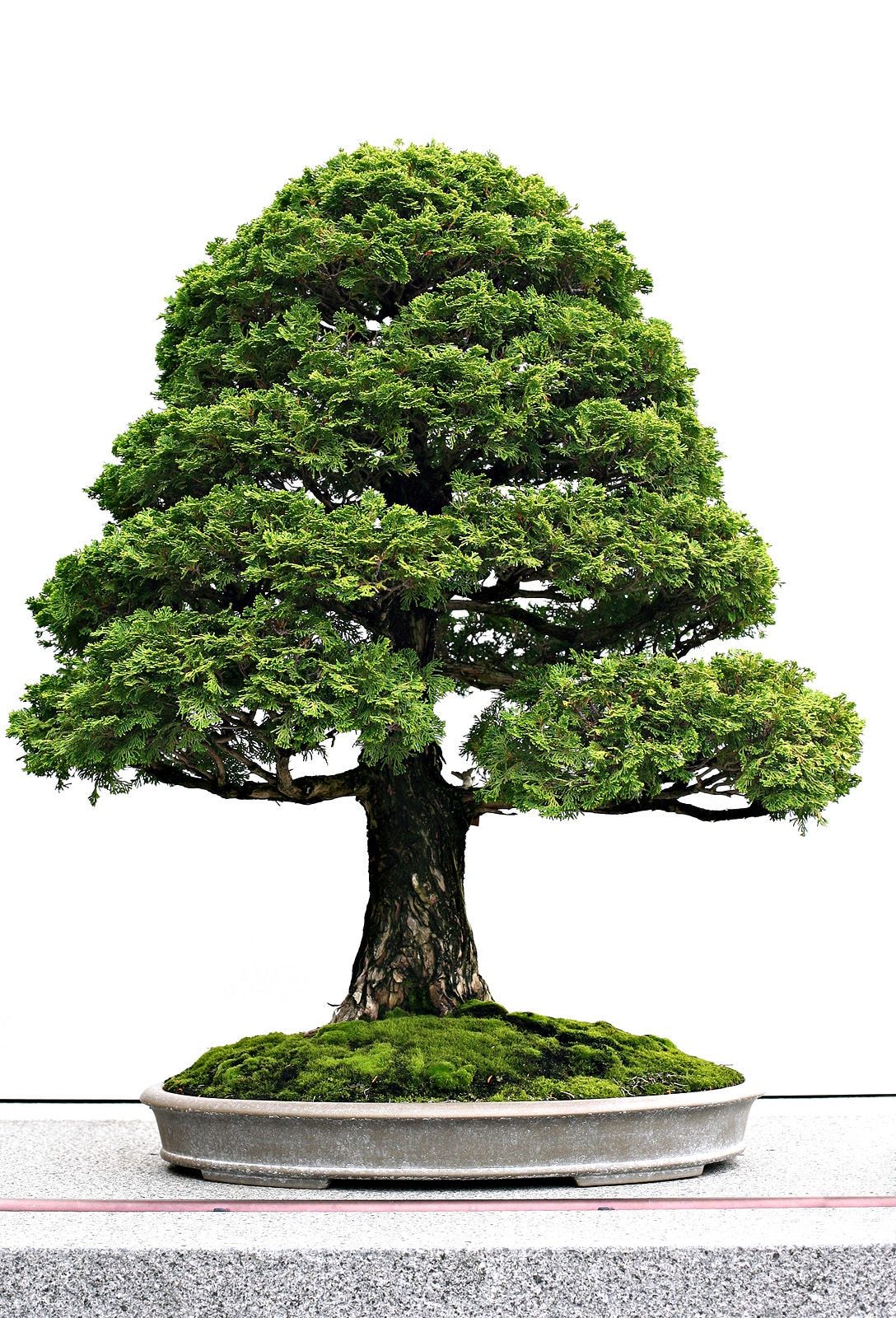 http://www.mshishang.net/pics/default/download/b9f658b9c04f71e53b5db18eb12e2bfd.jpg