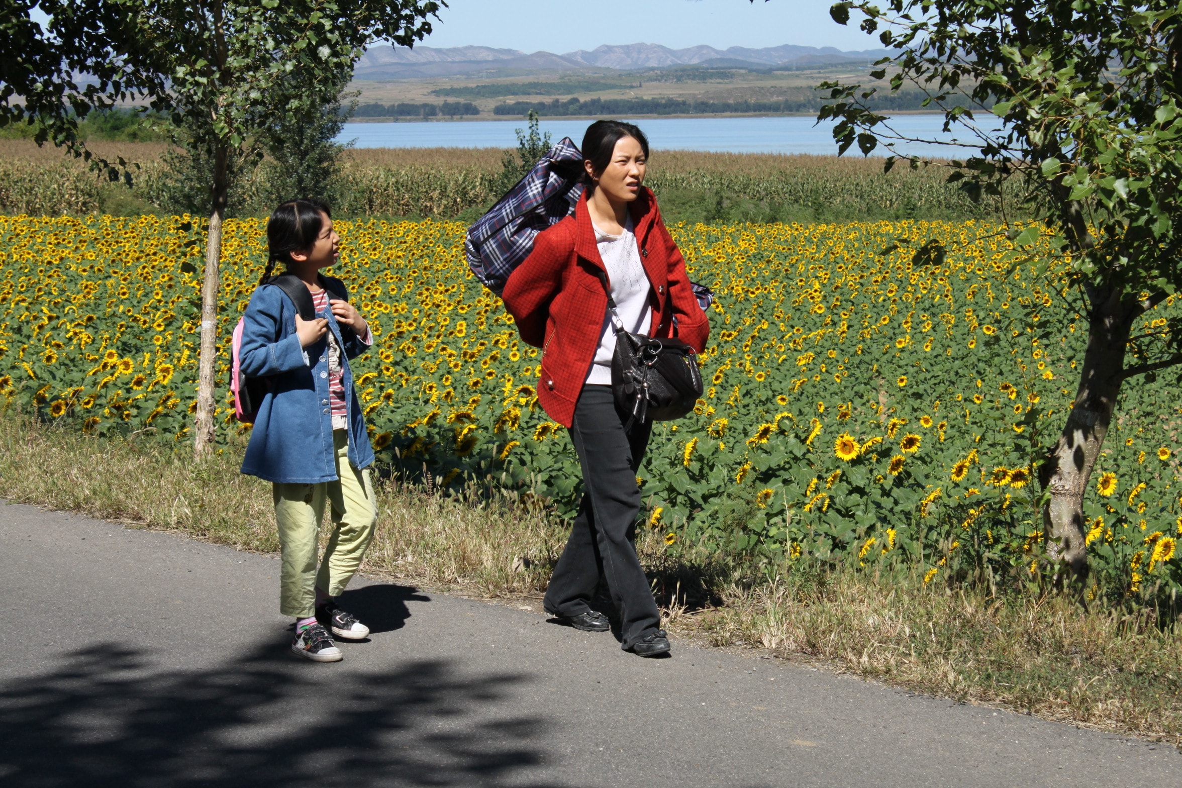 http://www.mshishang.net/pics/default/download/bd20b952bd9a136fae981f16f14b9f82.jpg