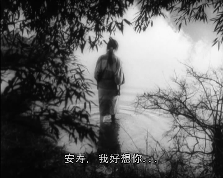 http://www.mshishang.net/pics/default/download/bd391c247cbbc3f546a358cbe5d338d0.jpg