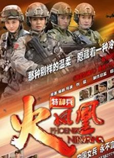 我是特种兵之火凤凰（DVD版）