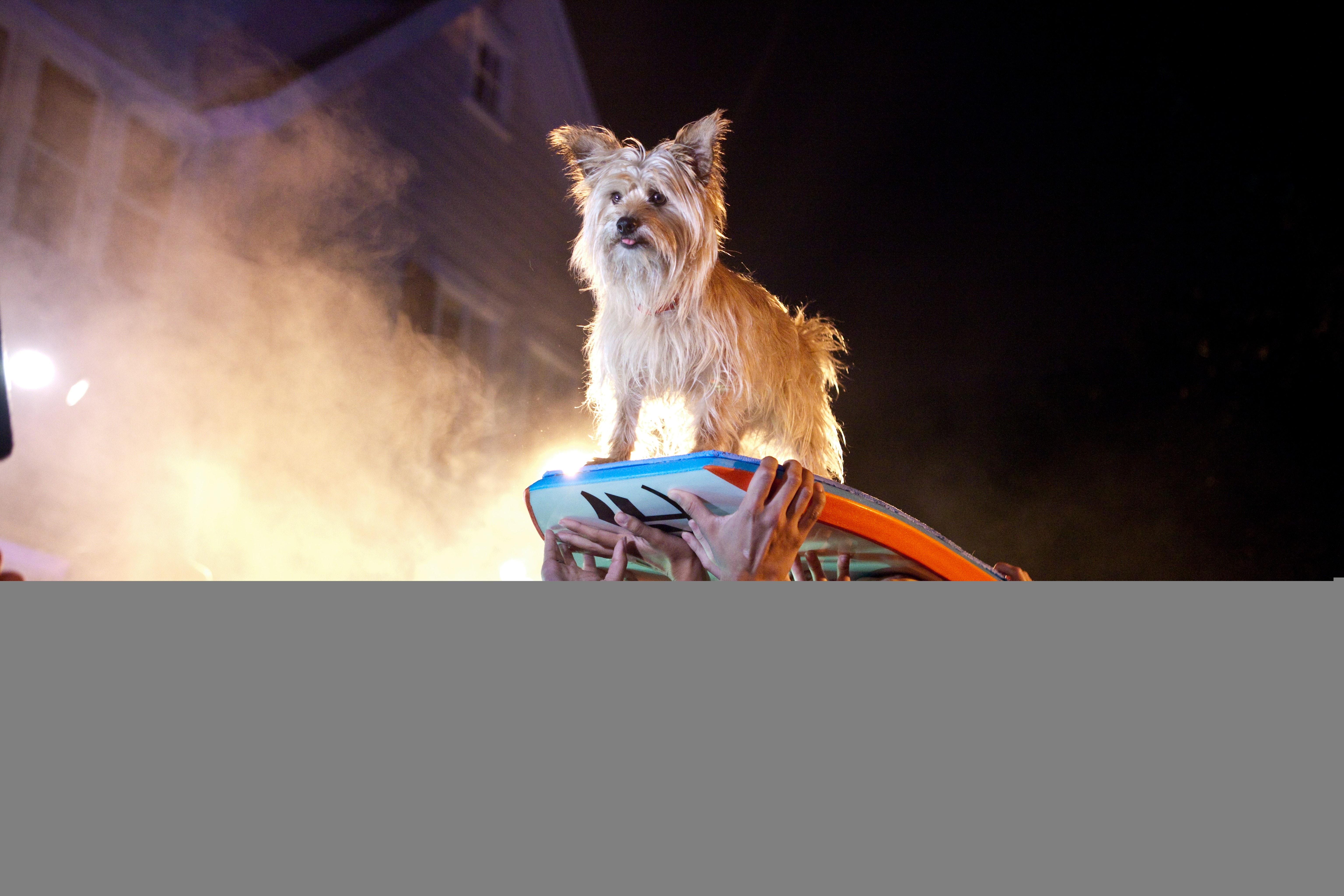 http://www.mshishang.net/pics/default/download/c677ff36af6c82ac0d261851a073f6d9.jpg