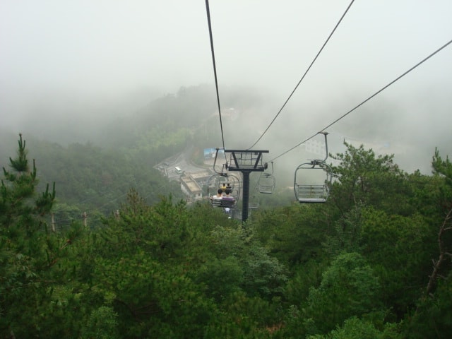http://www.mshishang.net/pics/default/download/c6a89ae6a38f62385e6ac23fe3f62728.jpg