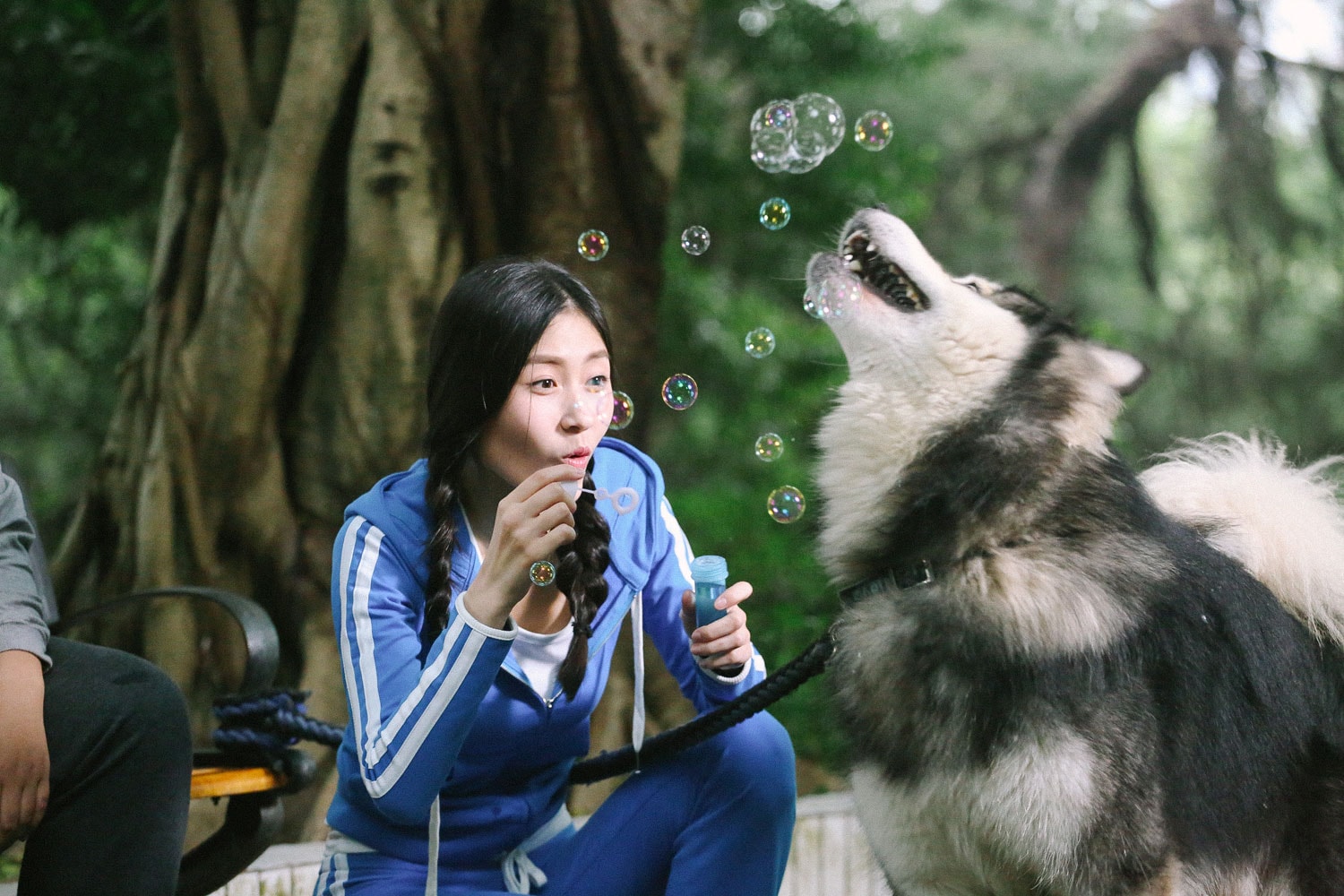 http://www.mshishang.net/pics/default/download/c77184ce6308549fad268a6de6105ba5.jpg