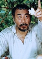 乔宏