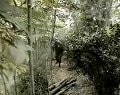 红色兄弟连之闪电行动I