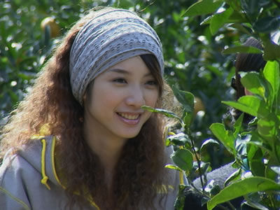 http://www.mshishang.net/pics/default/download/cb0f0ce7a054b9bbd4bfbcf64de3f263.jpg