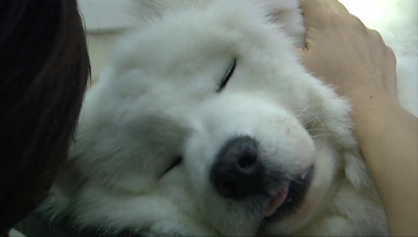 http://www.mshishang.net/pics/default/download/cd71499916367834d658ff425b30958e.jpg