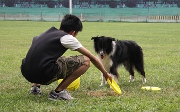 http://www.mshishang.net/pics/default/download/cd92ec15c9f9f85884687424e55b28b3.jpg