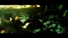 预告片2