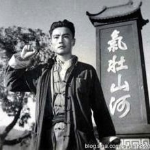 高笑鸥