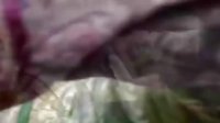 我为宫狂第3集
