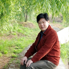 刘力群