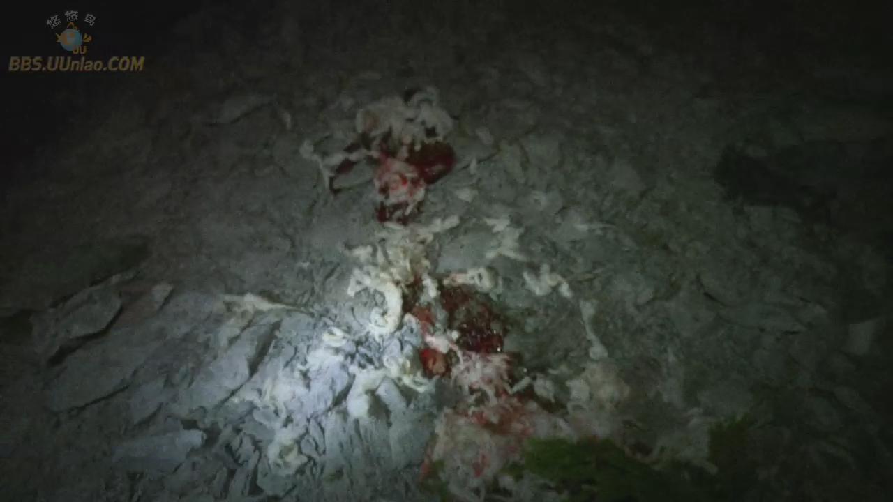 http://www.mshishang.net/pics/default/download/d3d0150107c2db72f0cef21e8a20c8a9.jpg