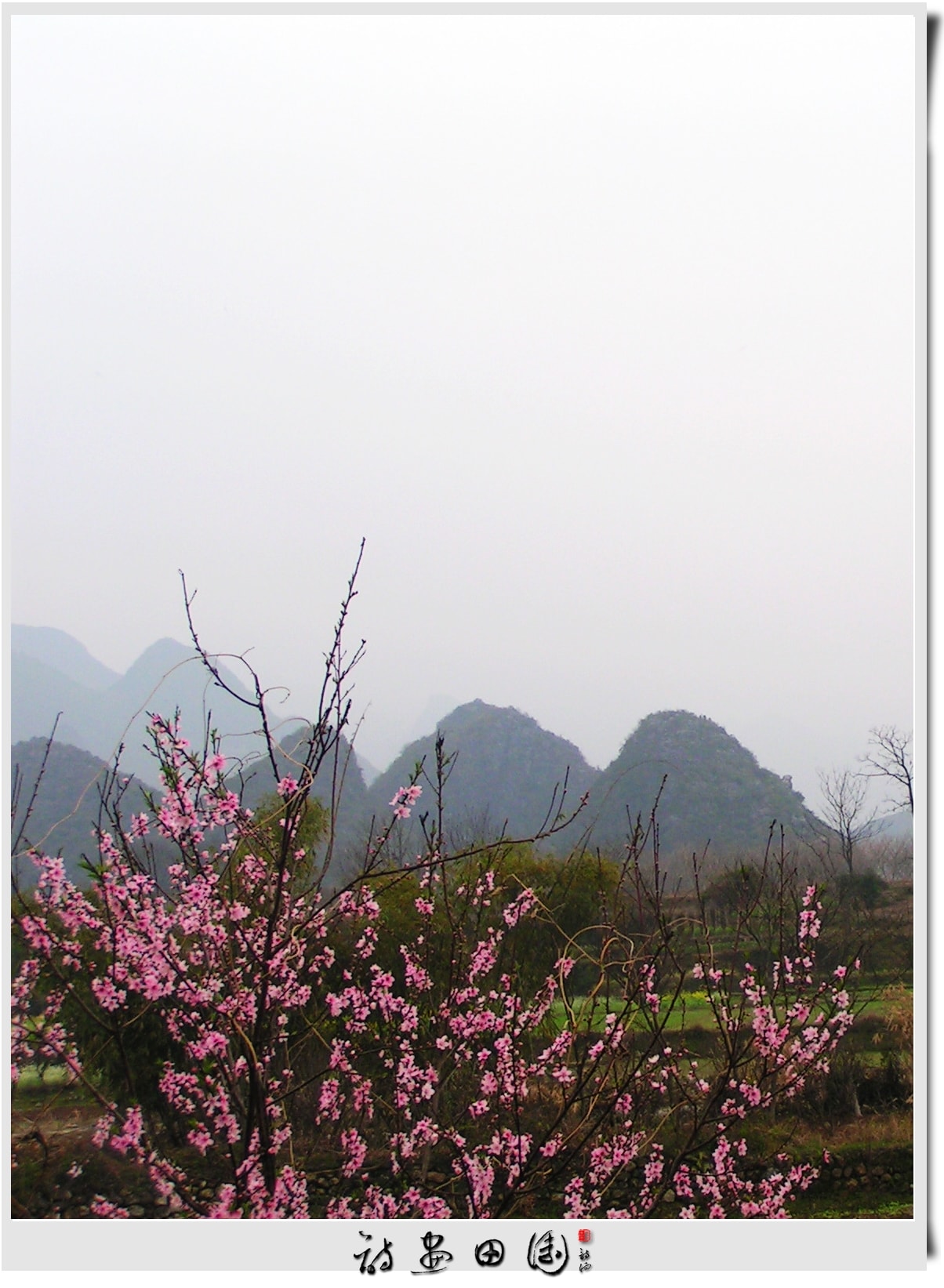 http://www.mshishang.net/pics/default/download/d4a0a274006bad2fad44c2afdfd36af0.jpg