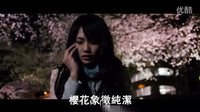 [盛开的樱花树下]台湾预告片