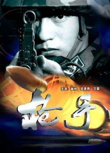 枪手（2002）