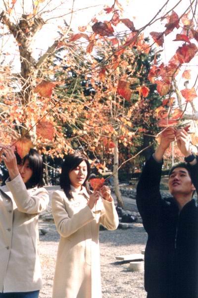http://www.mshishang.net/pics/default/download/d6cd814eae2df70511483170f17a1f33.jpg