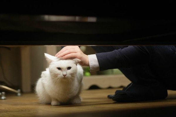 http://www.mshishang.net/pics/default/download/d7cc12ee2b93aee0d967978633fa46d4.jpg