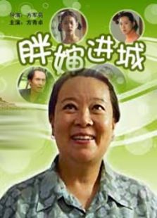 胖婶进城