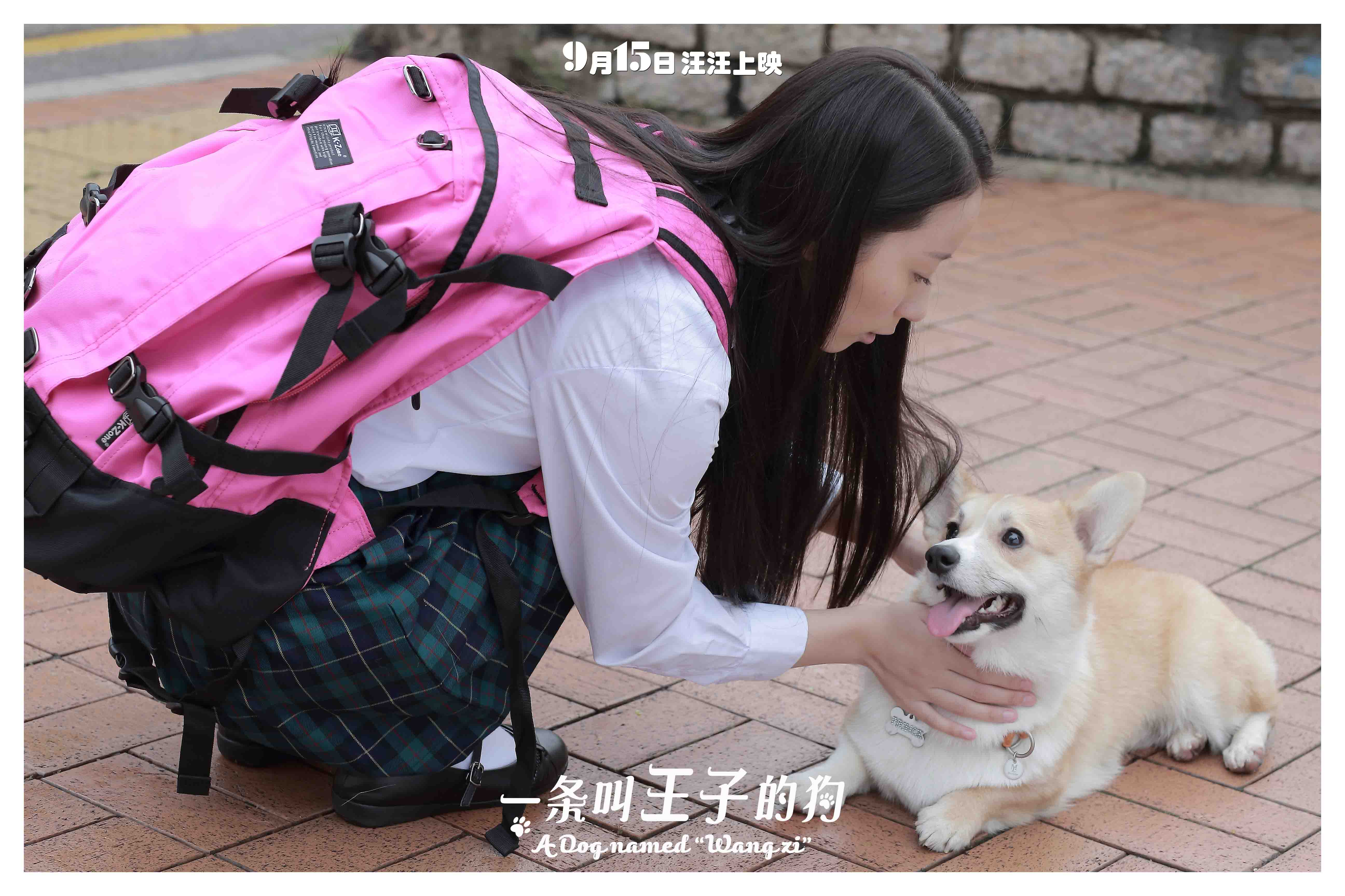 http://www.mshishang.net/pics/default/download/dee02b78ea1a511564b46e48be71dc45.jpg