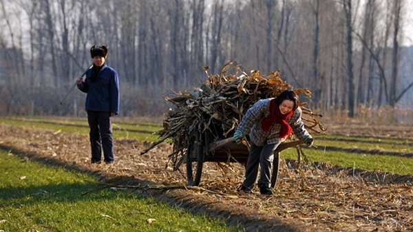 http://www.mshishang.net/pics/default/download/df63f293d65aee6a4f55c715d488c429.jpg