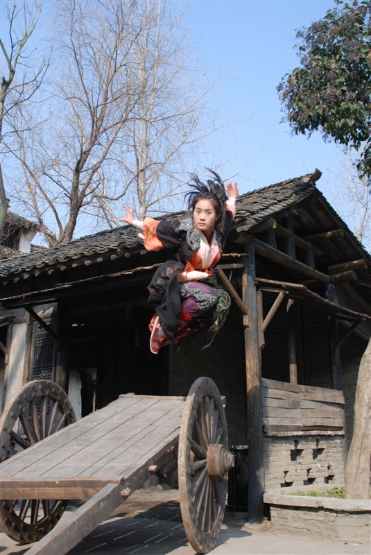 七种武器之孔雀翎剧照