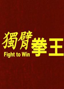 独臂拳王（2004）