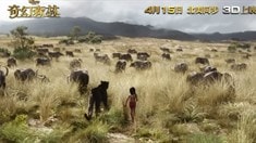 中国版加长预告片