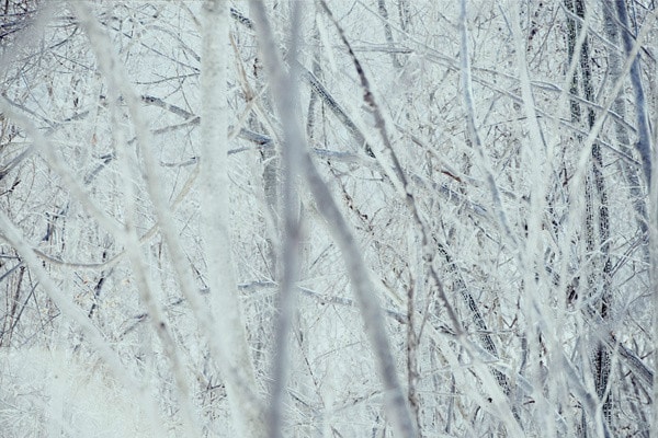 http://www.mshishang.net/pics/default/download/e19304867fff166c836423e6ec8b10f4.jpg