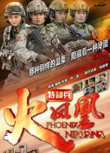 我是特种兵之火凤凰（精简版）