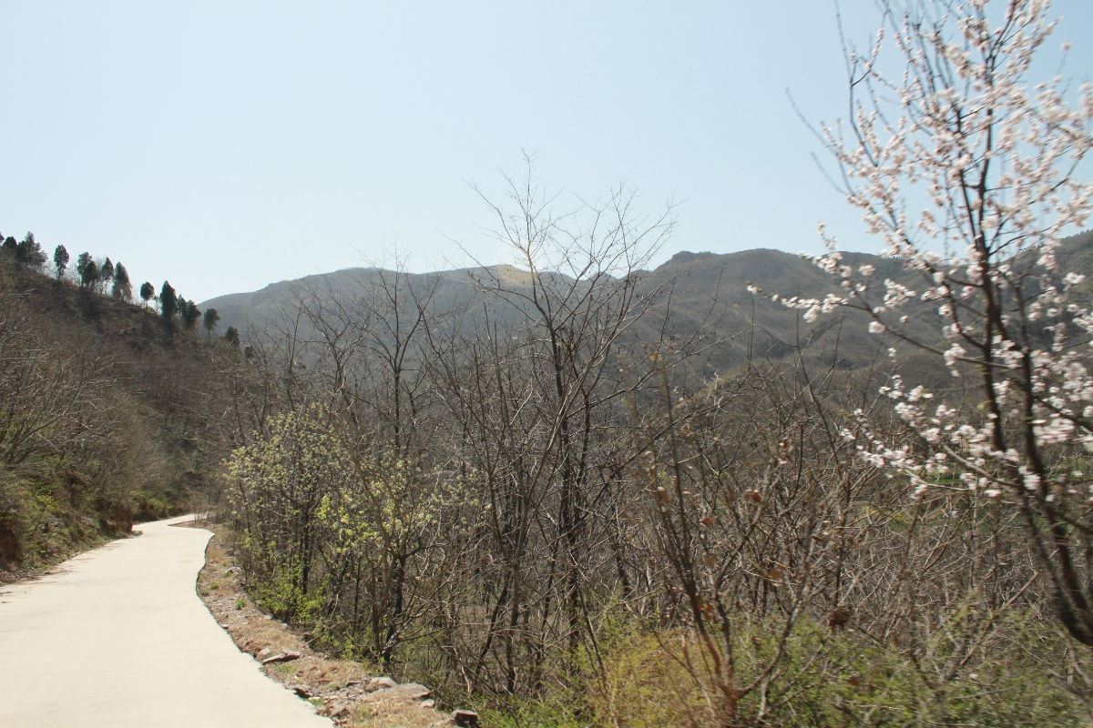 http://www.mshishang.net/pics/default/download/e2e0892ab7b73fa91356db6e10d2d0ed.jpg