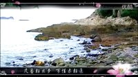 《少年四大名捕》无桑 花间梦