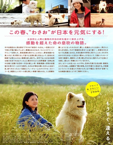 http://www.mshishang.net/pics/default/download/e5c47bf6bd694c26f6789d3242a68158.jpg