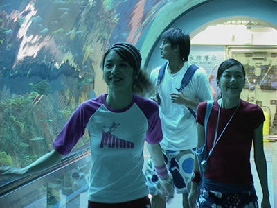 http://www.mshishang.net/pics/default/download/e5f45794fa42dab515773c6152873e9b.jpg