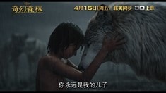 中国版预告片