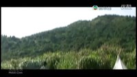 当旺爸爸版断背山