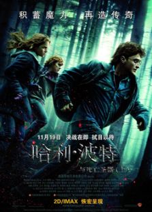 哈利·波特与死亡圣器（上）2010