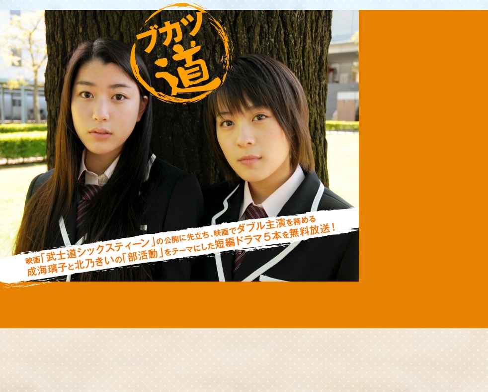 http://www.mshishang.net/pics/default/download/ec021e0a82cc1631991ddd68a3af19d5.jpg