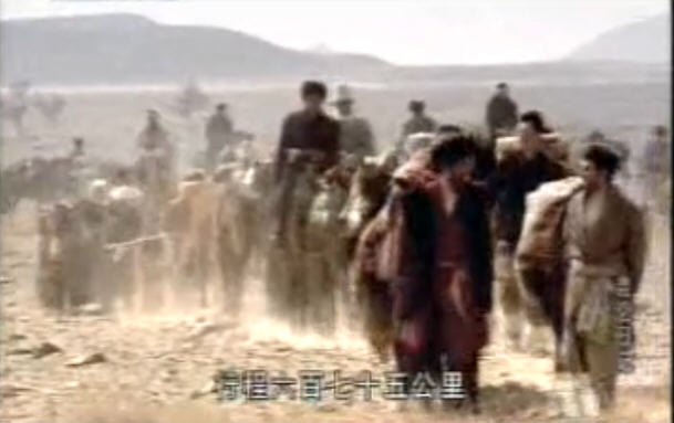 http://www.mshishang.net/pics/default/download/f03de486341693b698c19a02f304e793.jpg