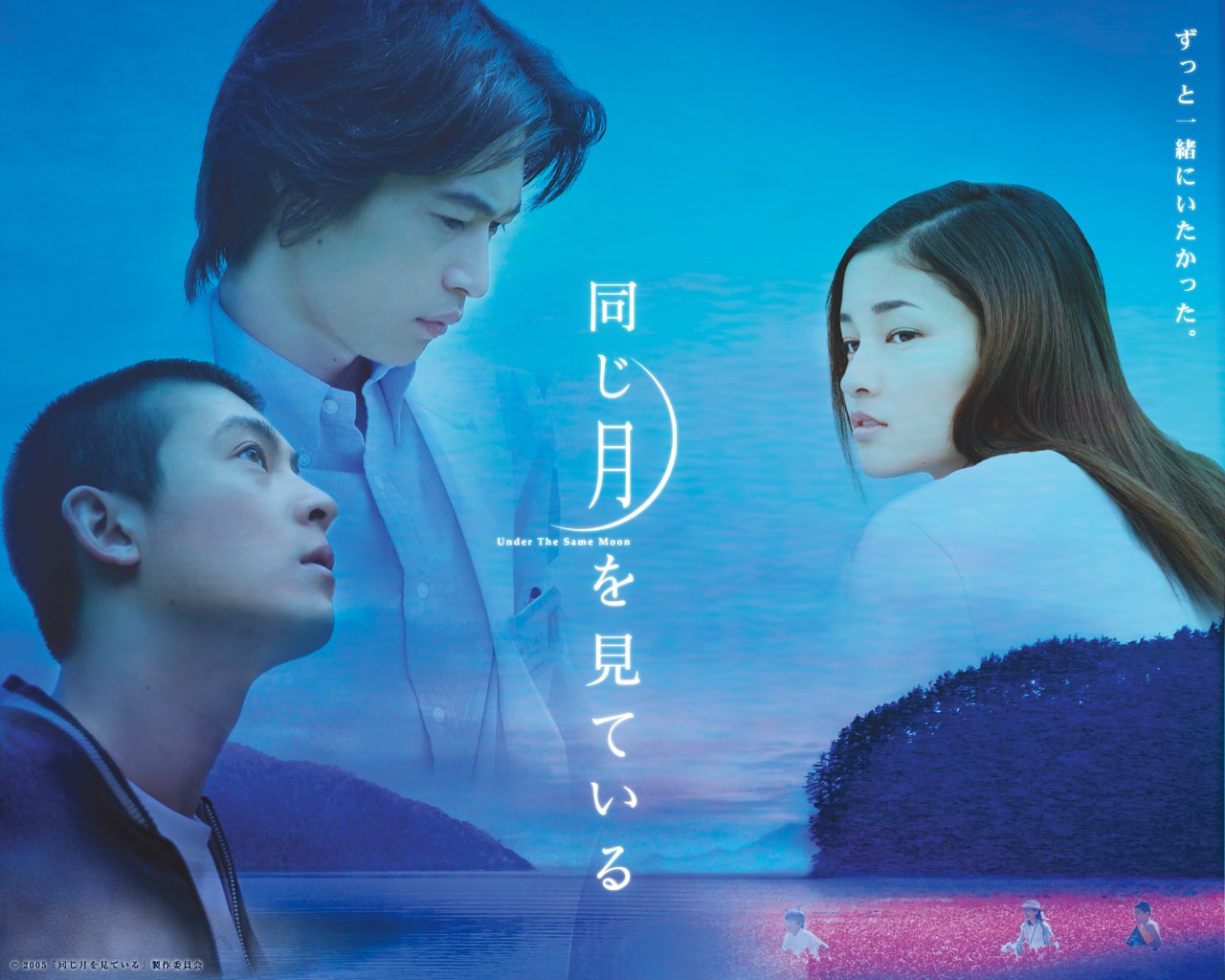 http://www.mshishang.net/pics/default/download/f2714500567d71e727281891f6e630d5.jpg