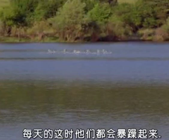 http://www.mshishang.net/pics/default/download/f348856b436532f884212a6ac7d1739b.jpg