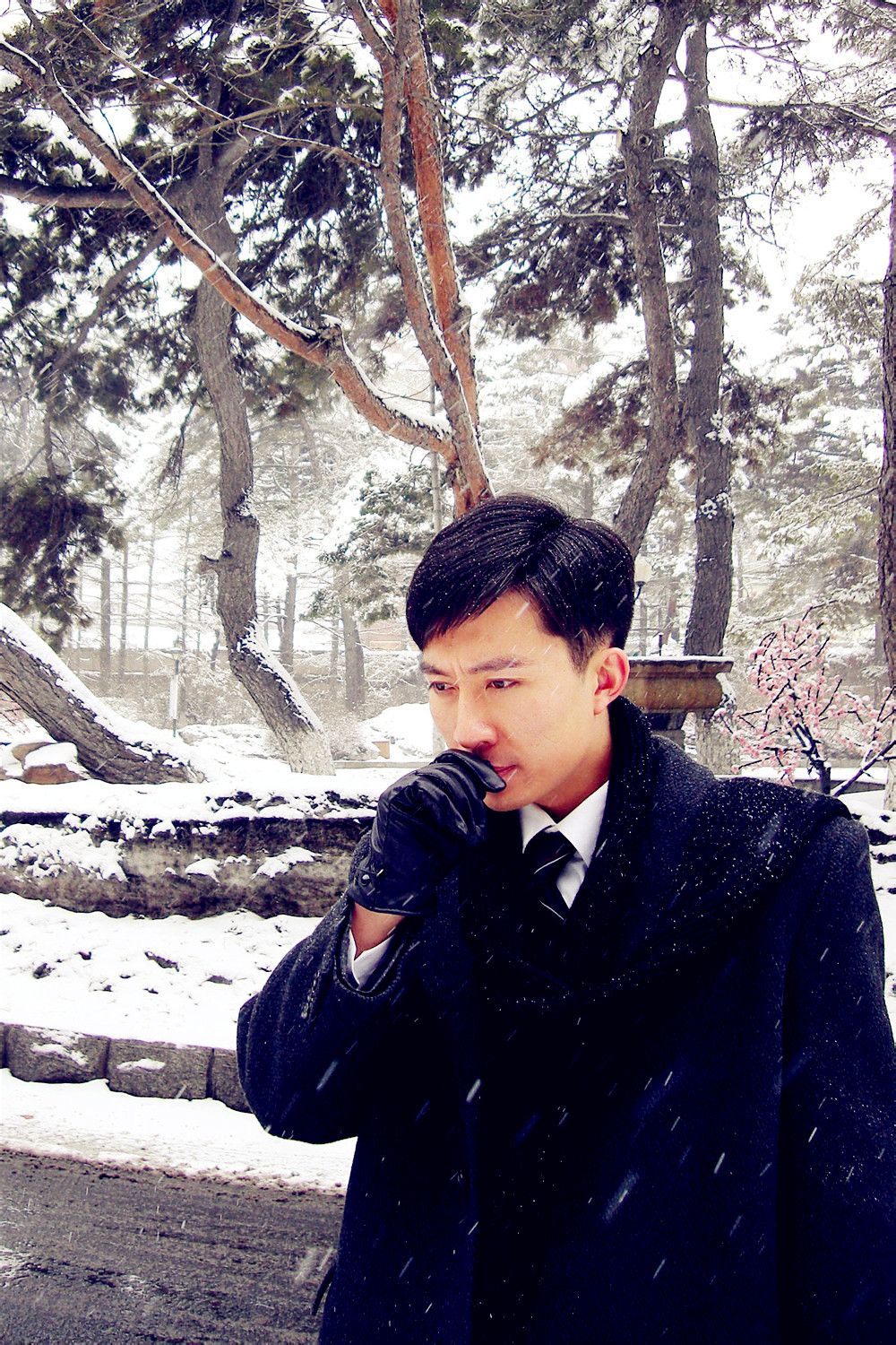 http://www.mshishang.net/pics/default/download/f443140e04306cf6094bd290944dec31.jpg
