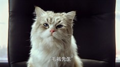 中文版预告片