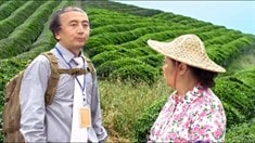 剧场版预告片